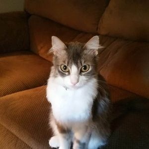 Meet your Posher, Angie